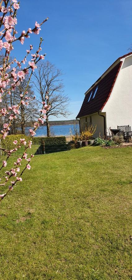 Villa Seeschwalbe Plau Plau am See Eksteriør billede