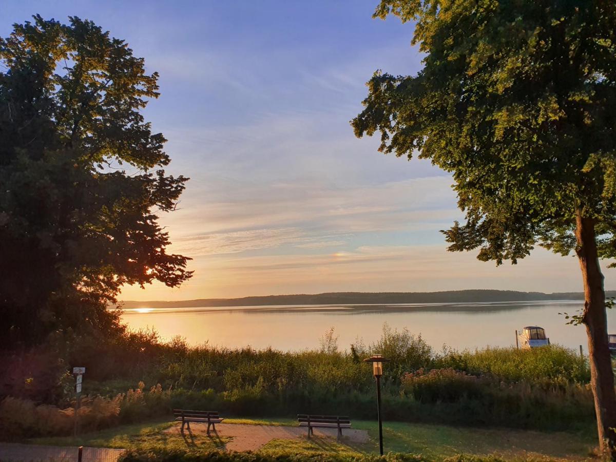 Villa Seeschwalbe Plau Plau am See Eksteriør billede