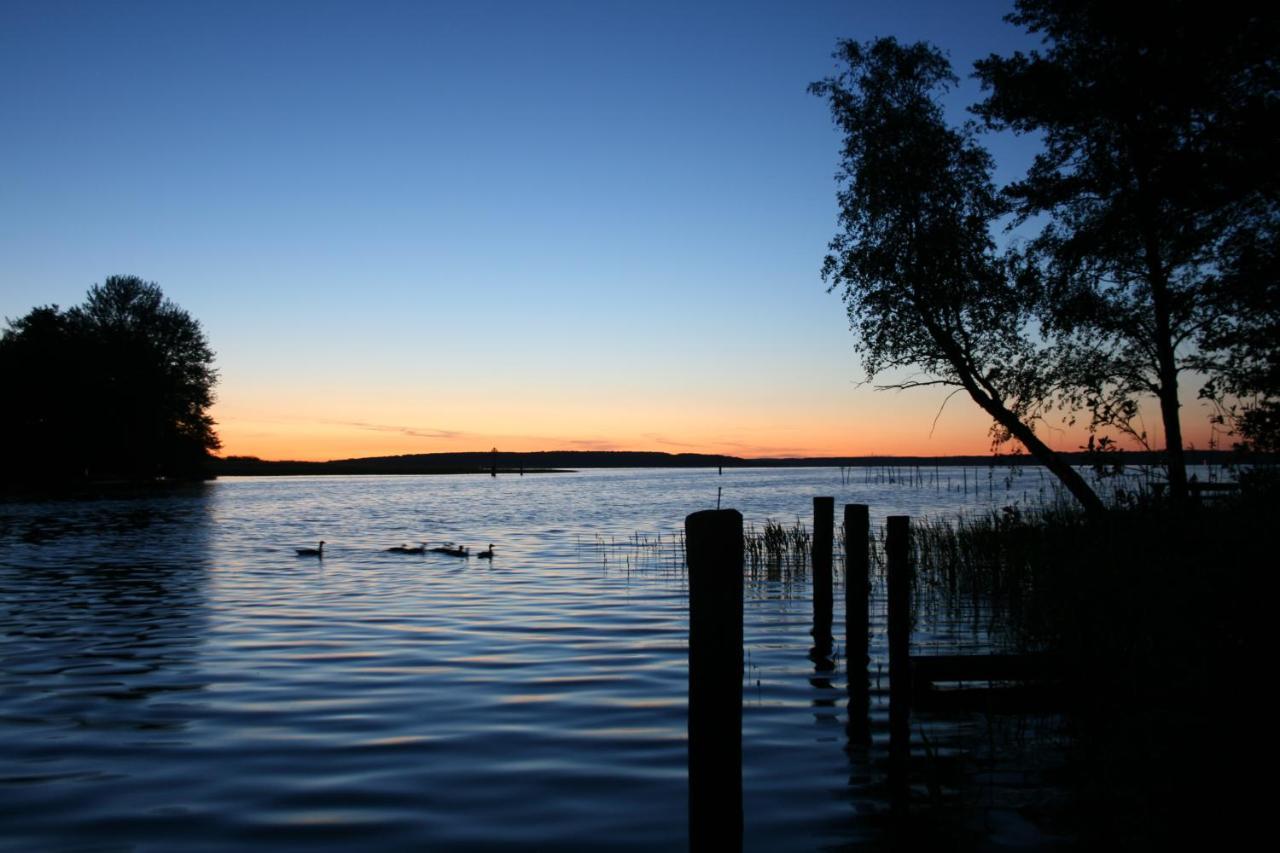Villa Seeschwalbe Plau Plau am See Eksteriør billede