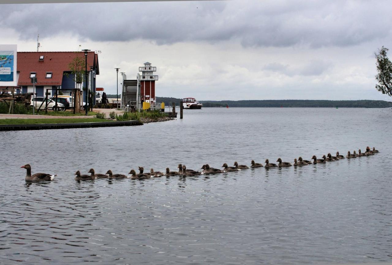 Villa Seeschwalbe Plau Plau am See Eksteriør billede